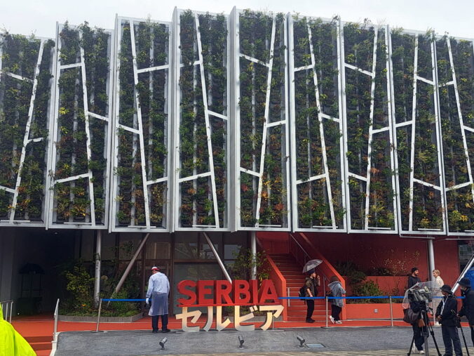 67fb84e299940516905375 676x507