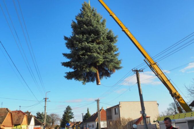 ae08ecaa bf05 4454 b30d 4119d771b679 676x450