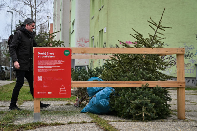 659a8ca239567783594386 676x451