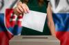 Mnohí sú stále nerozhodnutí. Prieskum ukázal, koľko Slovákov sa chce zúčastniť referenda