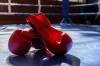 Polícia v JAR zatkla štyri osoby podozrivé v súvislosti s vraždou dvojnásobného svetového šampióna v boxe