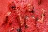 Top foto dňa (26. august 2026): La Tomatina, prevoz delfína, povodne v Nepále a Trafalgarské námestie