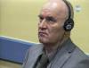 Tisíce bosnianskych Srbov si uctili odsúdeného vojnového zločinca Mladiča